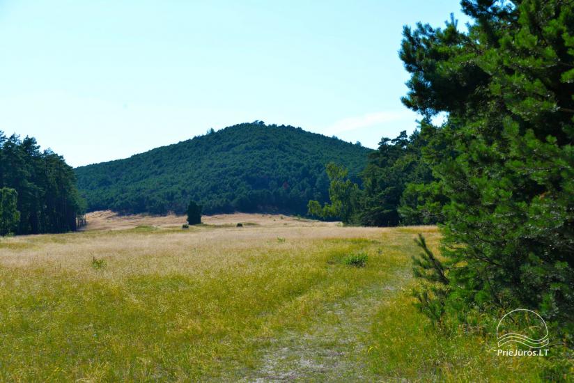 Vecekrugas dune in Curonian spit - 1