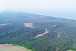 Vecekrugas dune in Curonian spit - 2