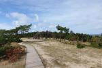 Vecekrugas dune in Curonian spit - 3