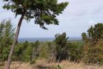 Vecekrugas dune in Curonian spit - 4