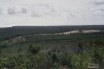 Vecekrugas dune in Curonian spit - 5