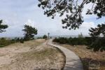 Vecekrugas dune in Curonian spit - 6