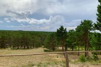 View-point on Avikalnis hill in the Curonian Spit