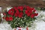 Flowers, gifts in Nida