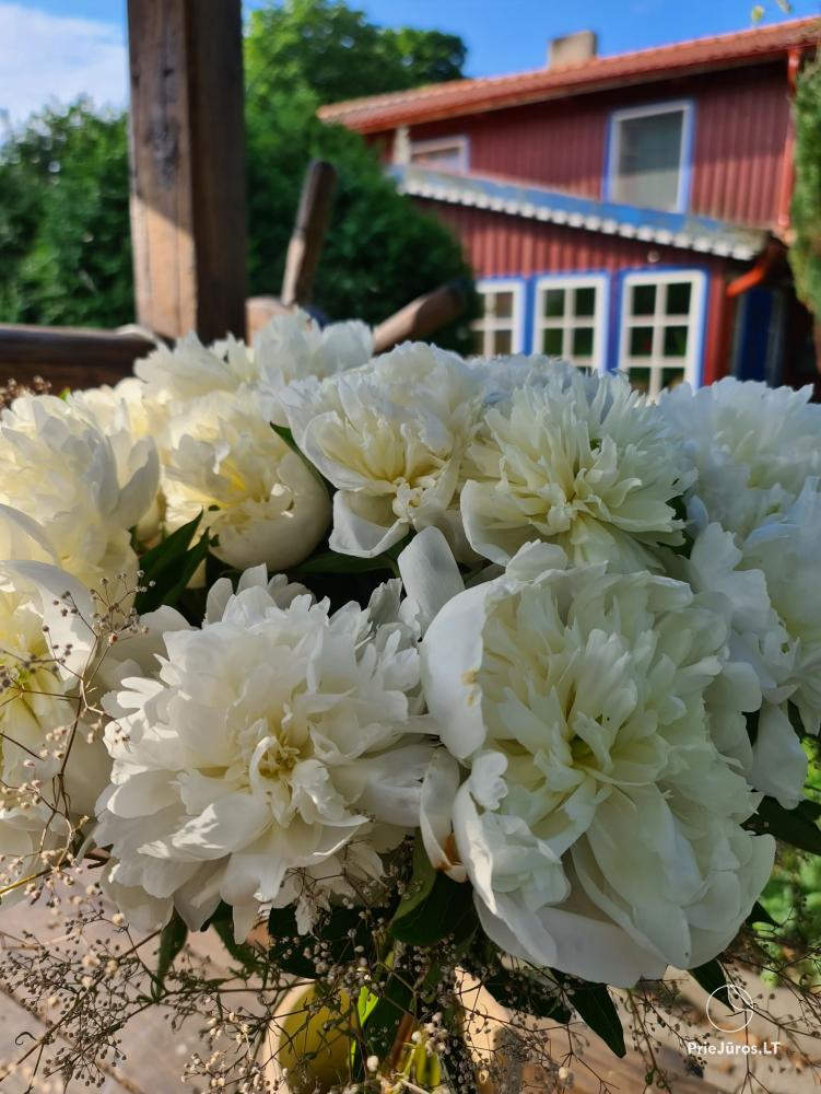 Flowers, gifts in Nida