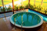 Bathhouse with hall, heated swimming-pool, rooms for stay in homestead near Klaipeda region "Zupe"