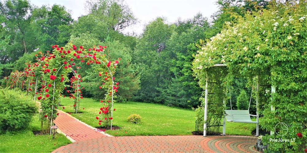 Bathhouse with hall, heated swimming-pool, rooms for stay in homestead near Klaipeda region "Zupe"