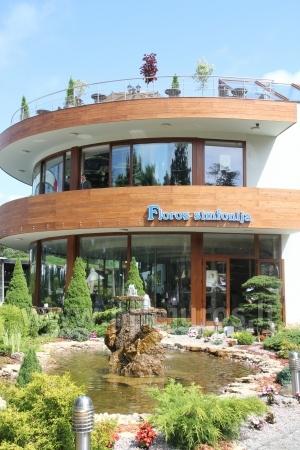 Planting and Maintenance Floros simfonija - 1