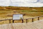 Cognitive Pathway in Nagliai Reserve in Curonian spit