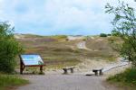 Cognitive Pathway in Nagliai Reserve in Curonian spit - 2