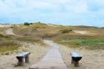 Cognitive Pathway in Nagliai Reserve in Curonian spit - 3