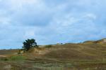 Cognitive Pathway in Nagliai Reserve in Curonian spit - 5