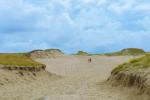 Cognitive Pathway in Nagliai Reserve in Curonian spit - 6