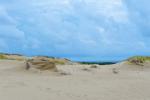 Cognitive Pathway in Nagliai Reserve in Curonian spit