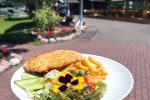 Cafe in Karkle - Zvejo sodyba - 4