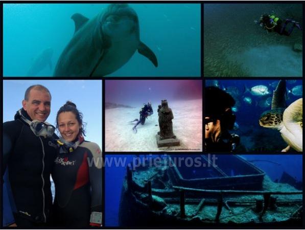 Diving in Tenerife - 1