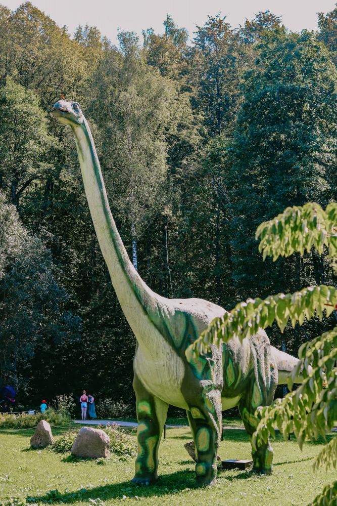 Парк динозавров DINO.LT Radailiai в комплексе «Radailių dvaras» под Клайпедой