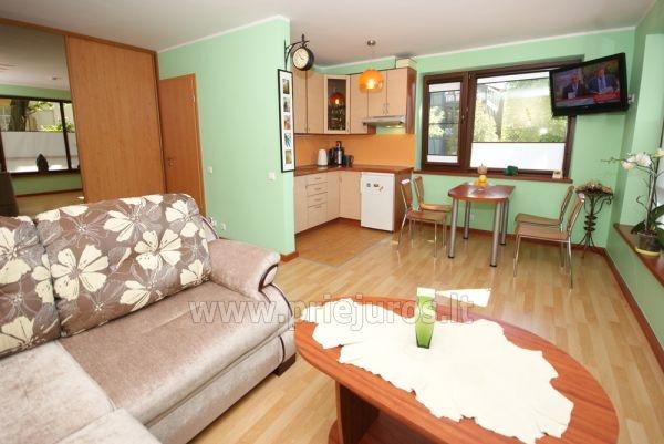 1 room condo rent in Juodkrante, Curonian spit, Lithuania