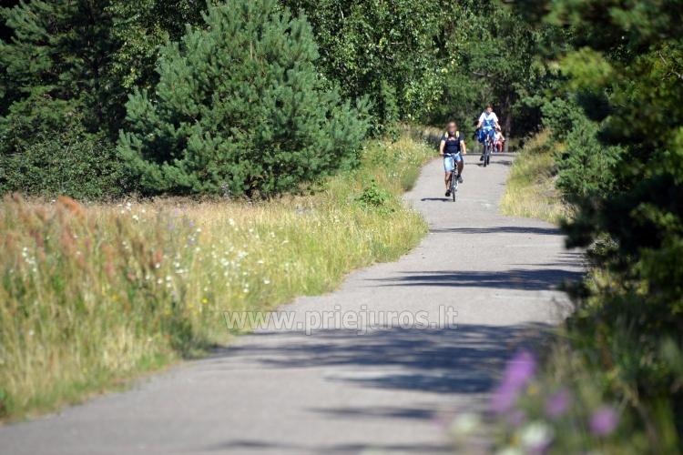 Seaside bicycle paths Palanga - Nida (90 km)