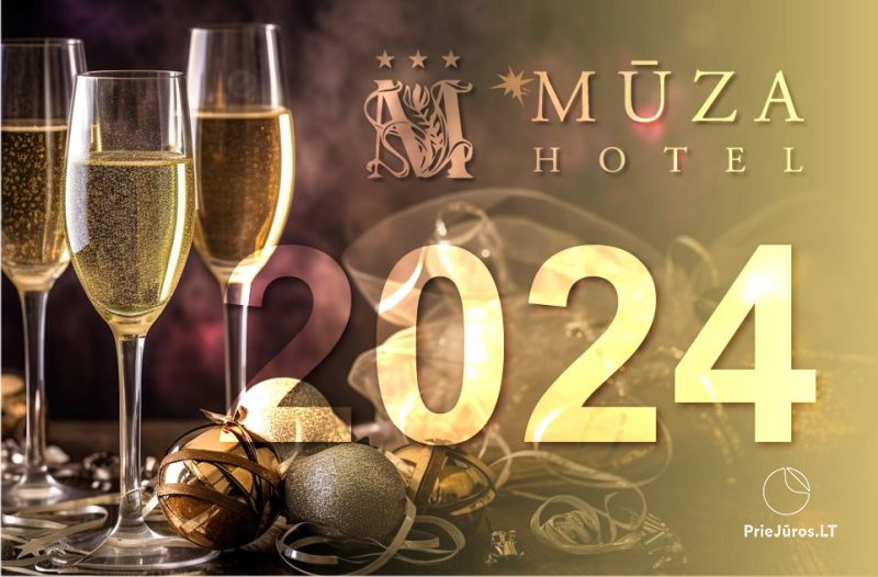 Встреча Нового Года в отеле Мuzа в Паланге