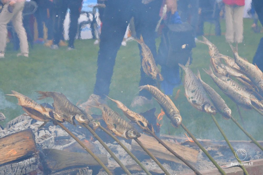Festival in Neringa Žiobrinės 2025 April 25-27 - 1