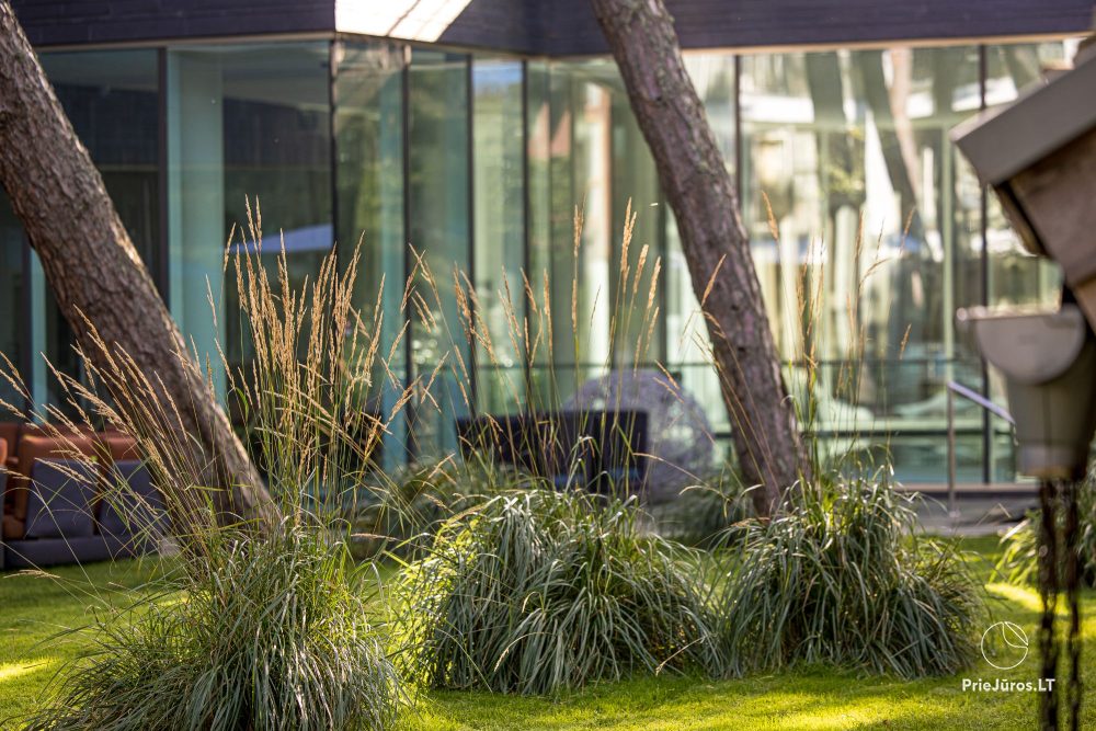 Romantic offers for two in Palanga, at the hotel "Palanga Life Balance SPA" *****
