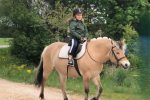 Horse activities near Atostogų Parkas Horse & Rider Riding School - 3