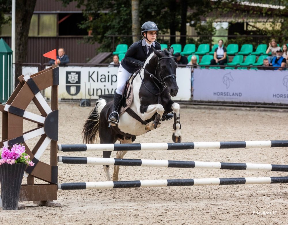 Horse activities near Atostogų Parkas Horse & Rider Riding School
