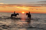 Horse activities near Atostogų Parkas Horse & Rider Riding School