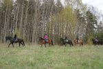 Horse activities near Atostogų Parkas Horse & Rider Riding School - 6