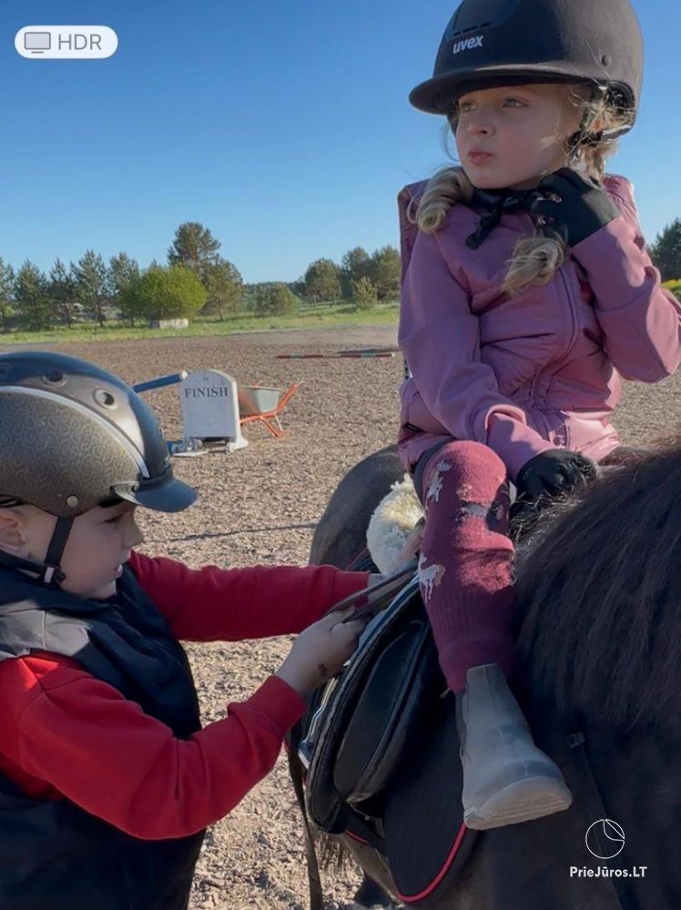 Horse activities near Atostogų Parkas Horse & Rider Riding School