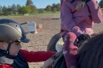 Horse activities near Atostogų Parkas Horse & Rider Riding School - 7