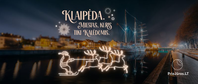 Lighting of the Christmas Tree In Klaipeda