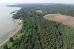 Bulvikio ragas – Cape of the Curonian Spit into the Curonian Lagoon between Nida and Preila - 4