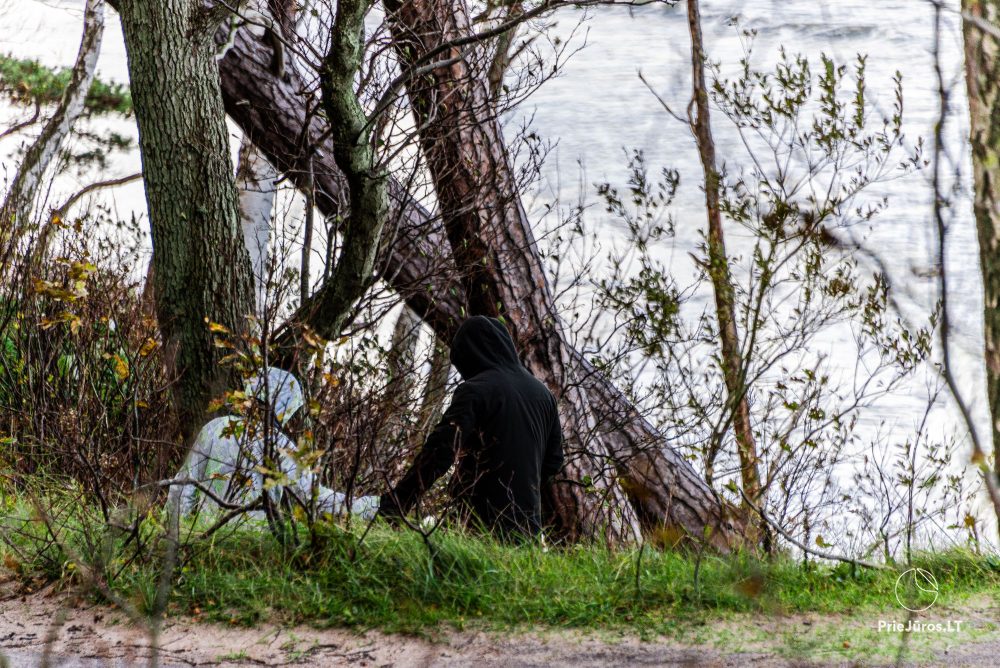 Кепка голландца