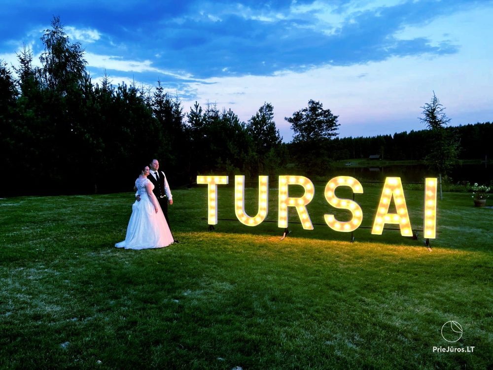 Light letters for rent