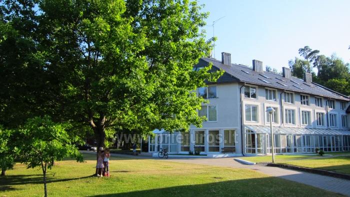 Apartment Rent for New Years Weekend in Juodkrante - 1