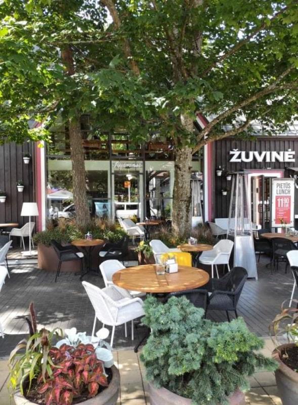 Ресторан в Паланге  ZUVINE