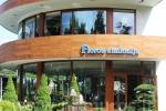 Cafe in Palanga Floros simfonija - 5