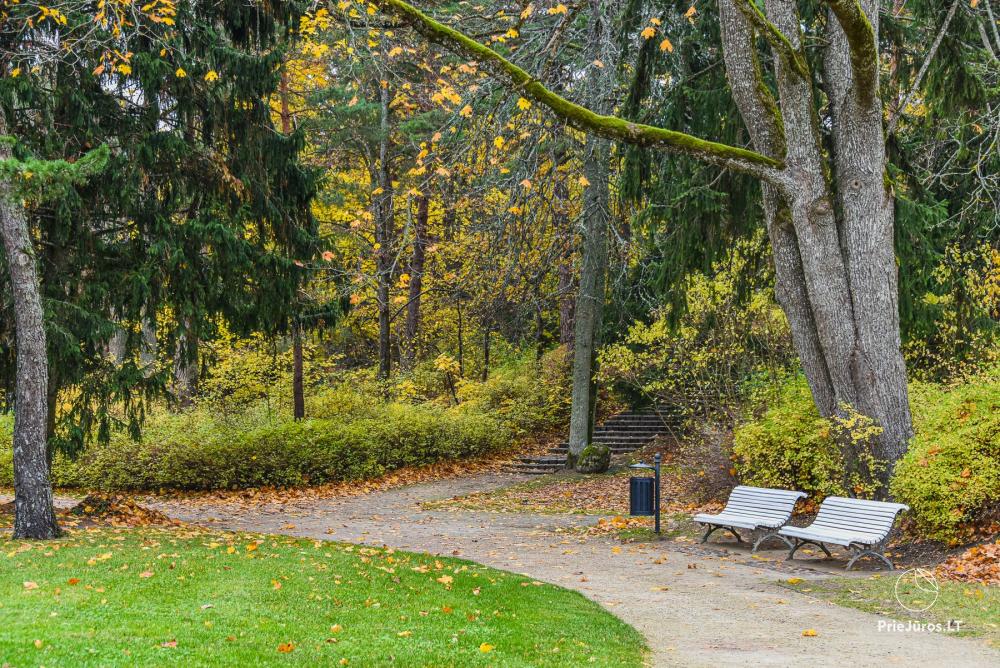 Palanga botanical park