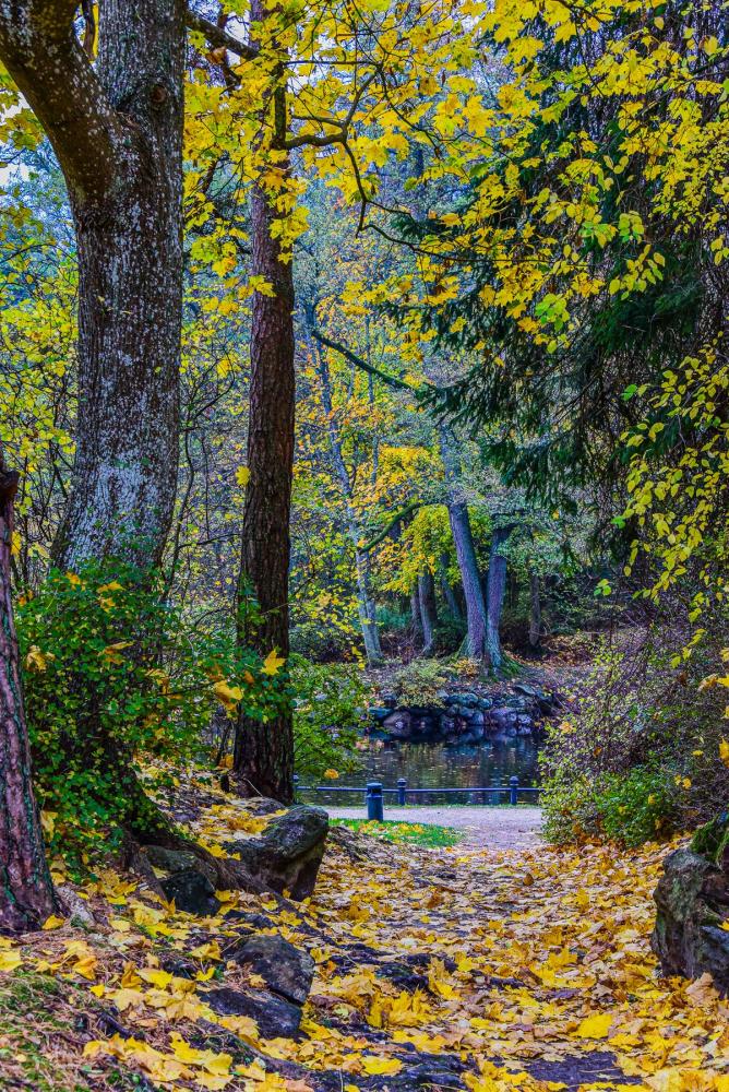 Palanga botanical park