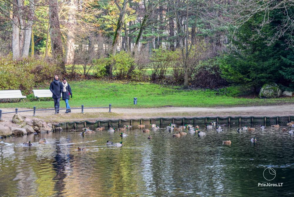 Palanga botanical park