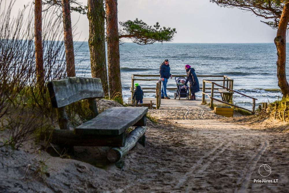 Palanga botanical park