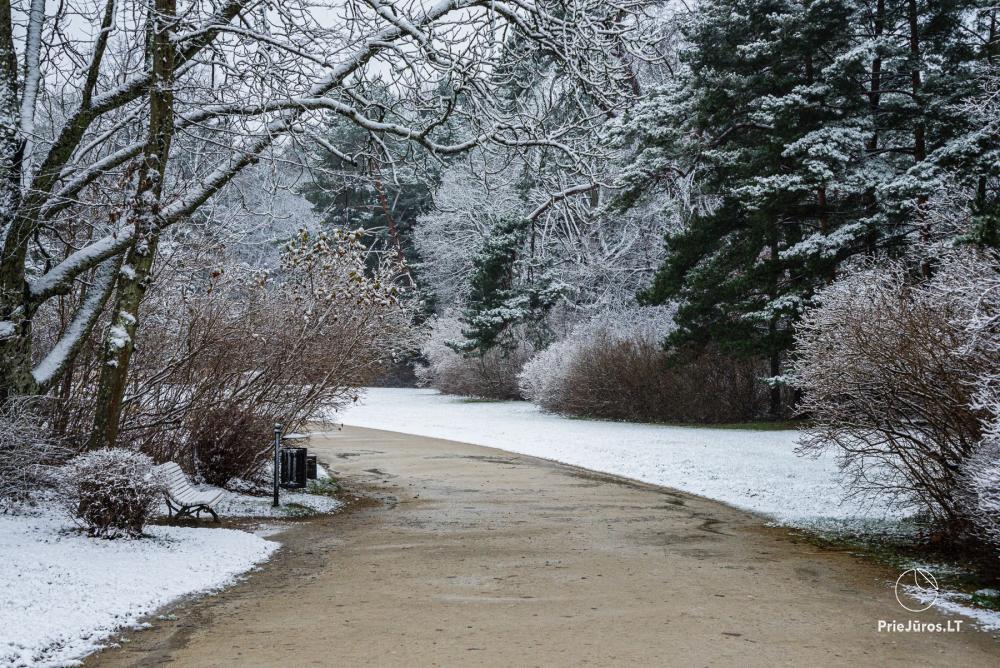 Palanga botanical park