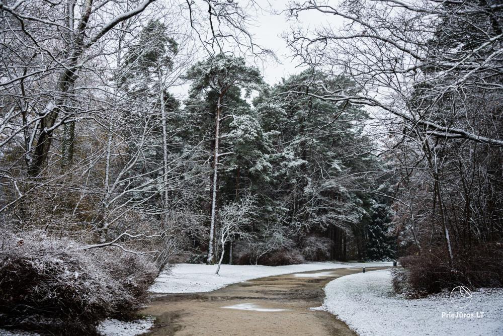 Palanga botanical park