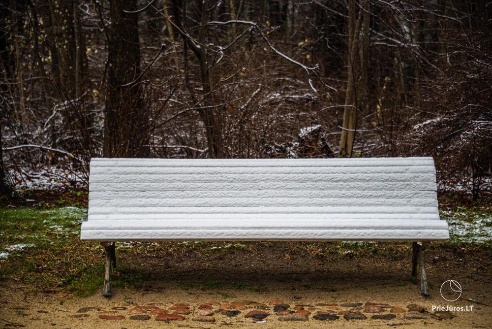Palanga botanical park