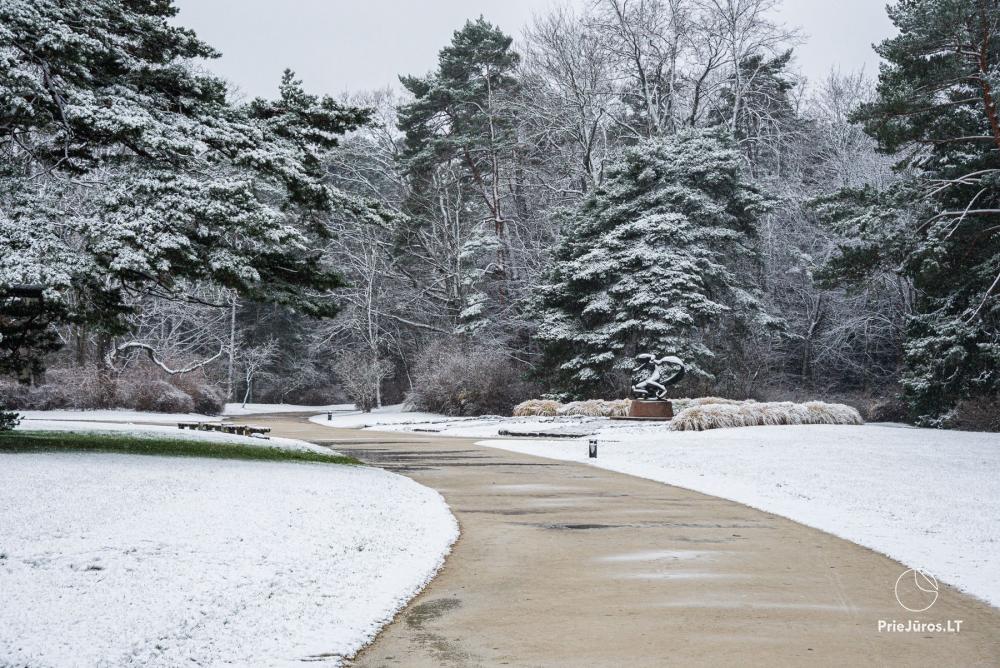 Palanga botanical park