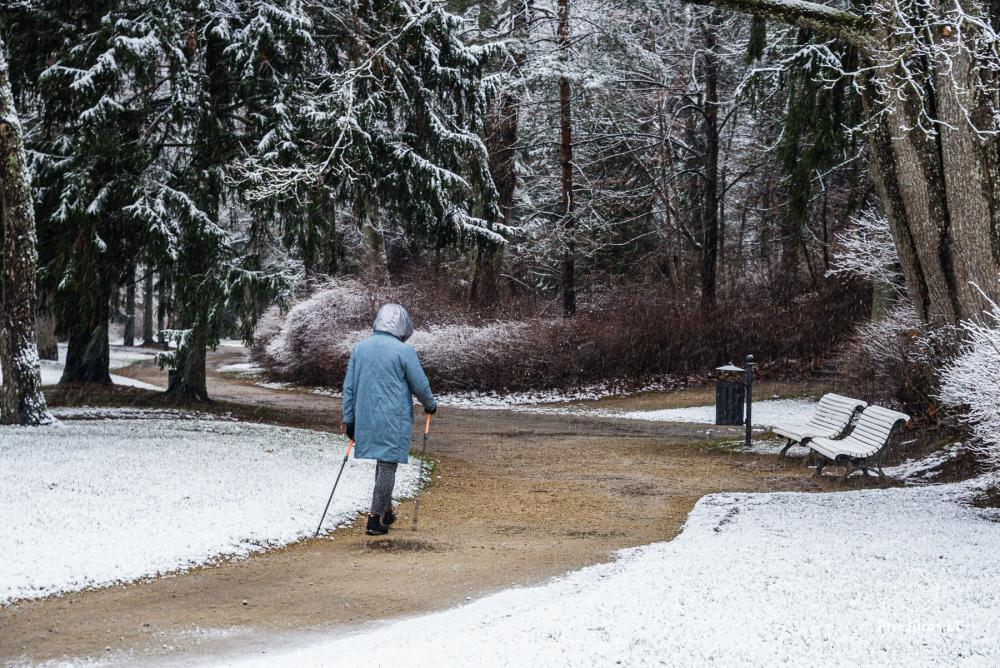 Palanga botanical park