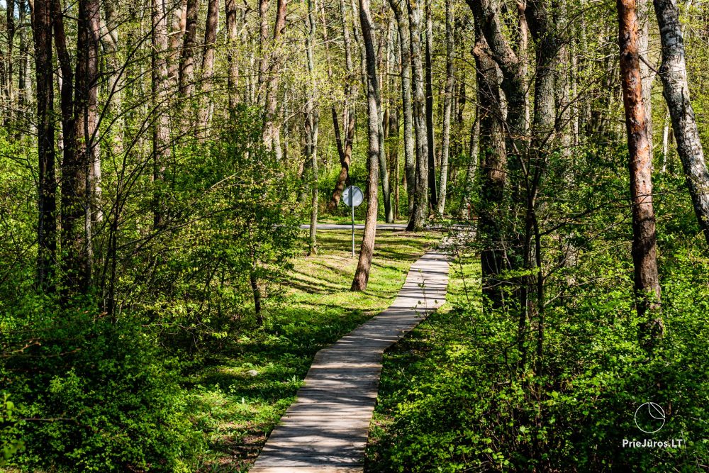 Palanga botanical park