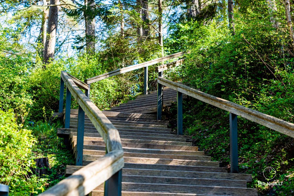 Palanga botanical park